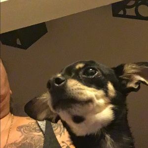 Meet your Posher, Adela